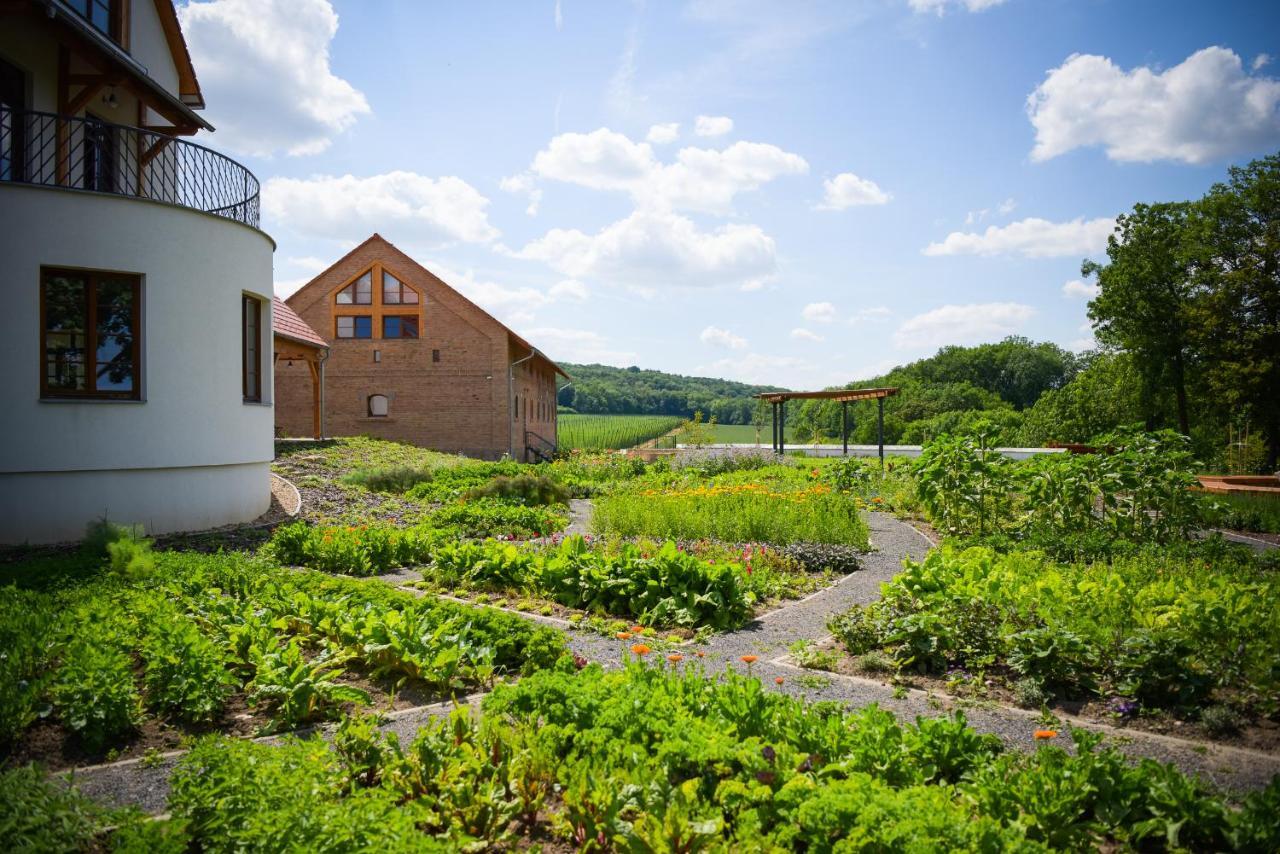 Dvur Perlova Voda Budyne nad Ohri Exterior photo