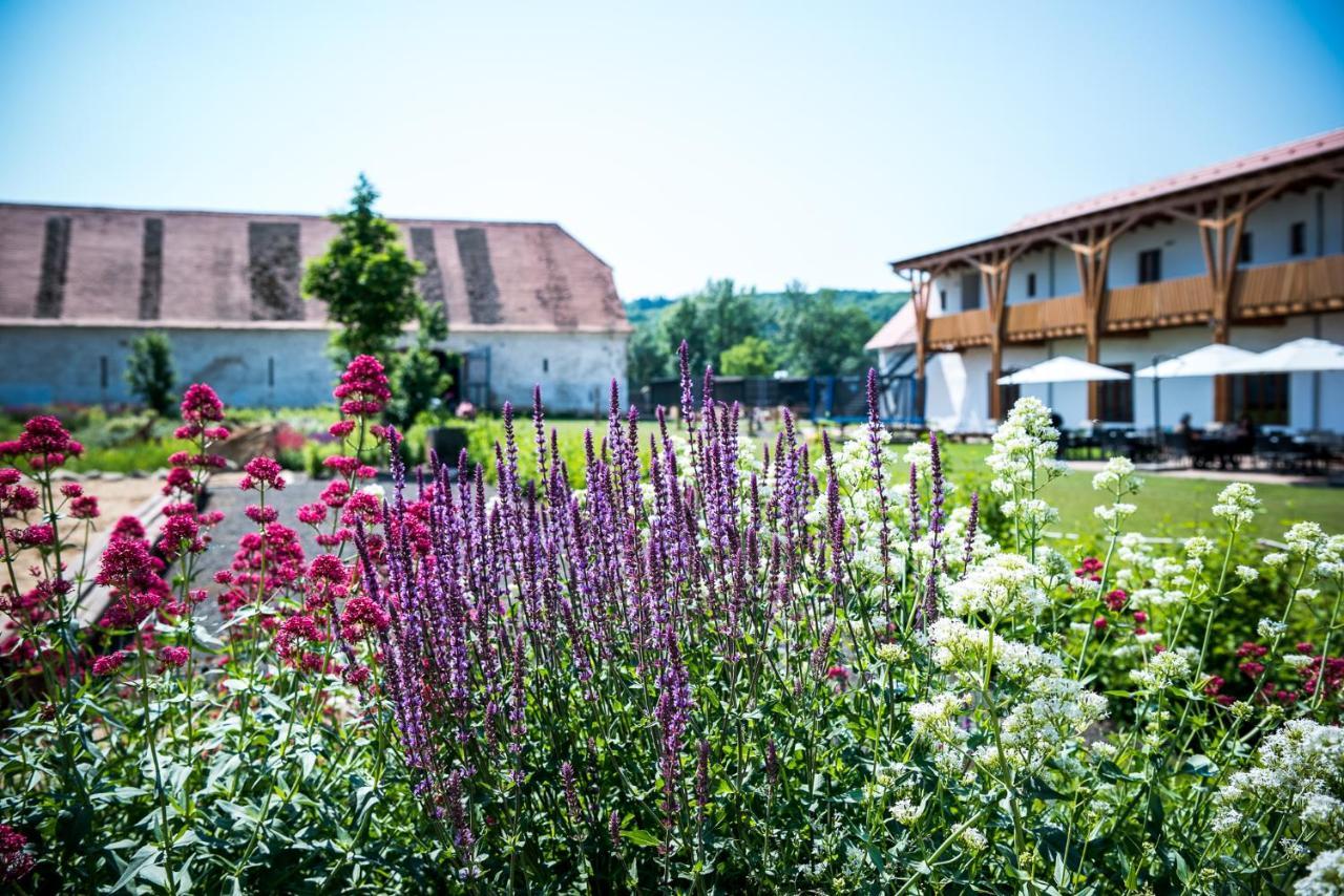 Dvur Perlova Voda Budyne nad Ohri Exterior photo