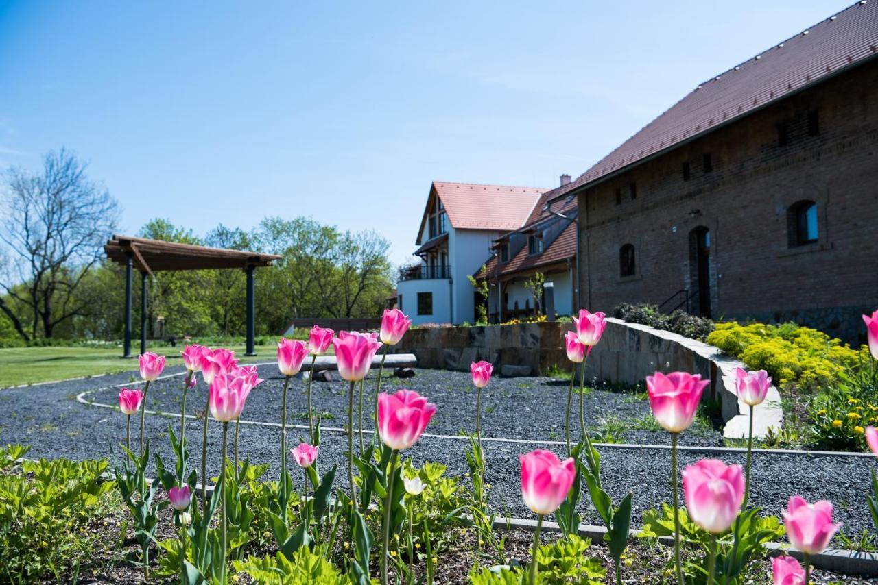 Dvur Perlova Voda Budyne nad Ohri Exterior photo